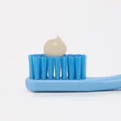 Promis Tekli Diş Fırçası Mavi